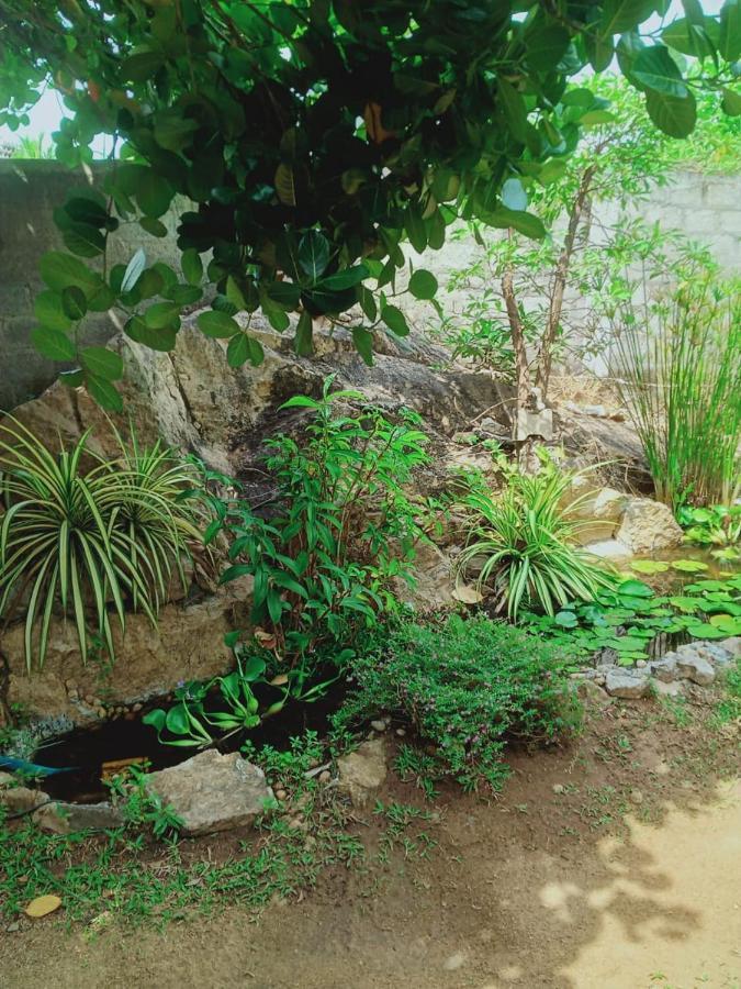 Sidhangana Home Stay อนุราธปุระ ภายนอก รูปภาพ