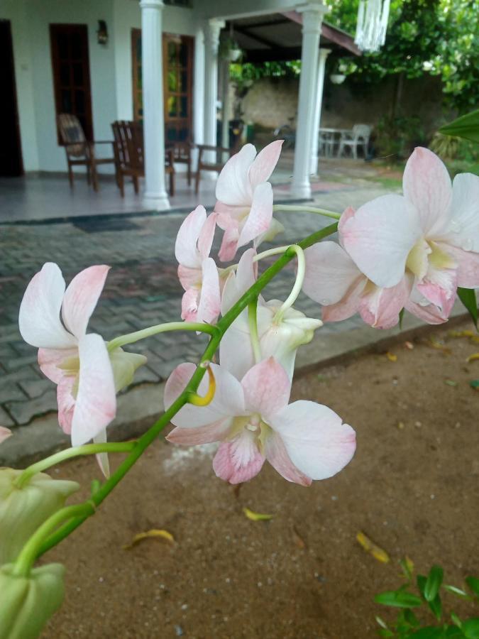 Sidhangana Home Stay อนุราธปุระ ภายนอก รูปภาพ