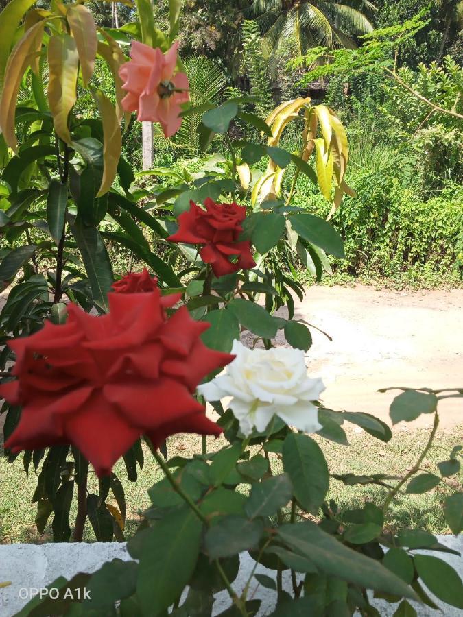 Sidhangana Home Stay อนุราธปุระ ภายนอก รูปภาพ