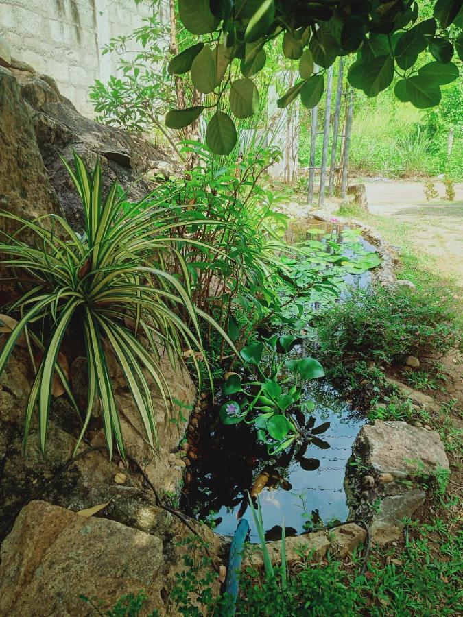 Sidhangana Home Stay อนุราธปุระ ภายนอก รูปภาพ